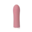 Little Bullet Bntense Vibrator Pink