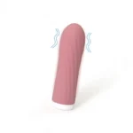 Little Bullet Bntense Vibrator Pink trill